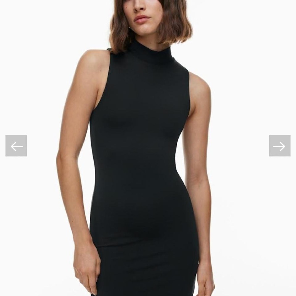 Babaton Black countour bodycon Mini Dress Sleeveless Mock Neck Sculpt